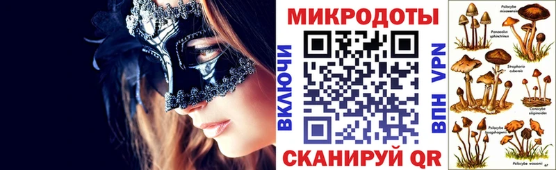 Псилоцибиновые грибы прущие грибы  Тосно 