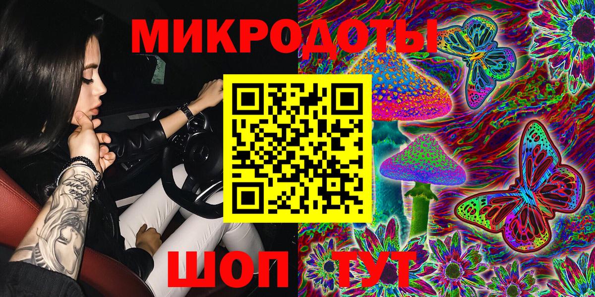 Псилоцибиновые грибы Cubensis Тосно