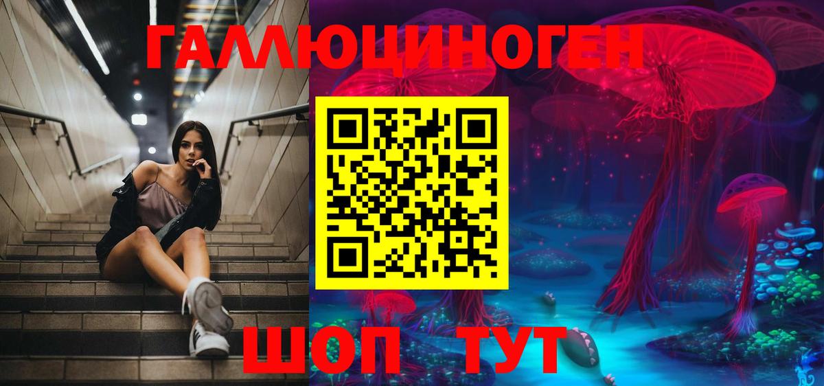 Галлюциногенные грибы GOLDEN TEACHER  Псилоцибиновые грибы мицелий  Вход с VPN  Тосно 