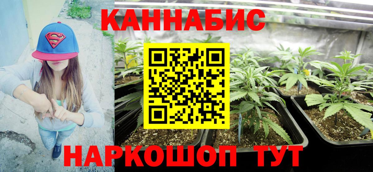 Бошки марихуана Bruce Banner  Марихуана гибрид  Тосно  Вход с VPN 